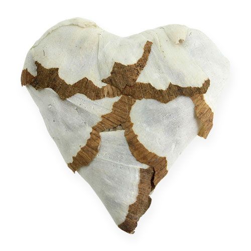 Floristik24 Sola Cabbage Herz 6cm flach 12 St.