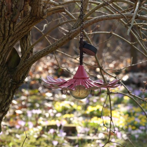 Artikel Solar LED Blume Gartenleuchte LED Metall Rosa Ø30cm