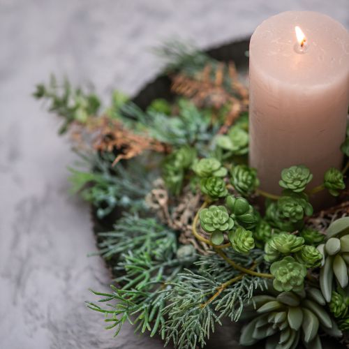 Artikel Sukkulente Echeveria 17cm Grau 3St