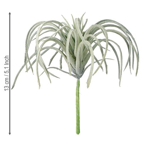 Artikel Tillandsia Sukkulente künstliche Grünpflanzen 13cm