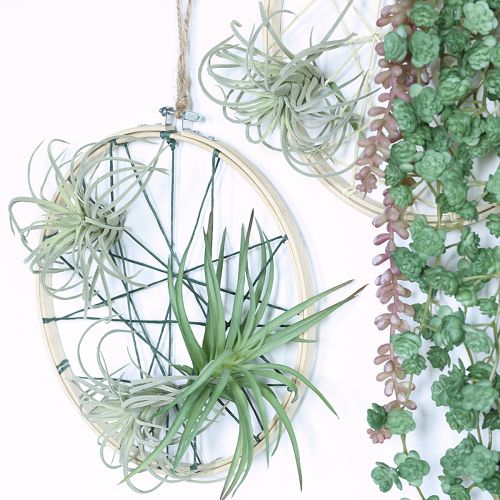 Artikel Tillandsia Sukkulente künstliche Grünpflanzen 13cm