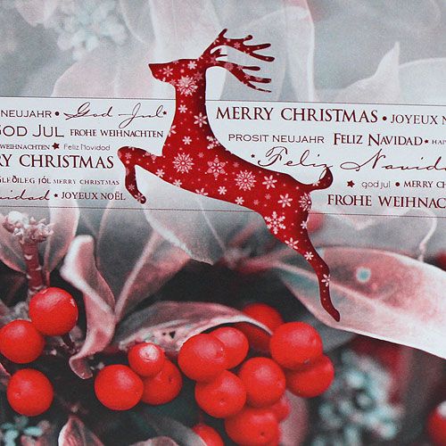 Floristik24 Weihnachtskarten 12,5x12,5cm 6St