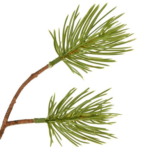 Floristik24 Weihnachtszweige Künstliche Pinienzweige L54cm 3St