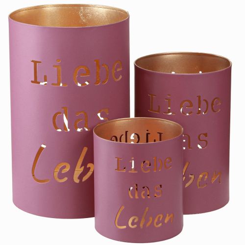 Floristik24 Windlicht „Liebe das Leben“ Fuchsia Gold Ø13/10,5/9cm Set 3St