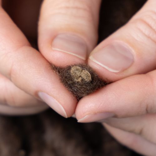 Artikel Wollkordel Braun 25m Dekoband Floristik Basteln