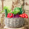 Rotkohl künstlich Real-Touch Ø12cm | Floristik24.ch
