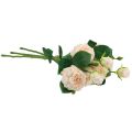 Floristik24 Kunstrosen Creme Künstliche Rosen Dry Look 53cm 3St