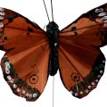 Floristik24 Deko Schmetterlinge am Draht Federn Grün Pink Orange 6,5×10cm 12St