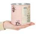 Metall Blumentopf Deko-Dose Lachs Ø11cm H10.5cm für Sommer- und Innenraumdekoration | Floristik24.ch