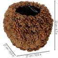 Deko-Übertopf aus Tannenzapfen 27 cm rund naturbraun | Floristik24.ch