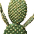 Floristik24 Deko Kaktus Künstliche Topfpflanze Feigenkaktus 64cm