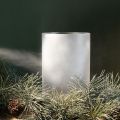 Eisblumenspray 150 ml weiss für Fenster und Glasdekoration | Floristik24.ch