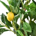 Floristik24 Kunstpflanzen Zitronenbaum Künstliche Topfpflanze 90cm