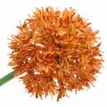 Floristik24 Zierlauch Allium künstlich Orange Ø7cm H58cm 4St