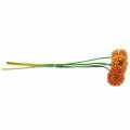 Floristik24 Zierlauch Allium künstlich Orange Ø7cm H58cm 4St