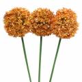 Floristik24 Zierlauch Allium künstlich Orange 70cm 3St