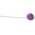 Floristik24 Zierlauch Allium künstlich Lila Ø12cm H62cm