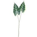 Floristik24 Alocasia Elefantenohr Pfeilblatt Kunstpflanzen Grün 55cm