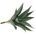 Floristik24 Aloe Zweig künstlich Grün 47cm