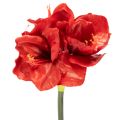 Floristik24 Künstliche Amaryllis in Rot mit langem Stiel, 77 cm