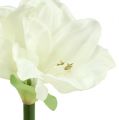 Floristik24 Amaryllis künstlich 60cm weiß