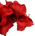 Floristik24 Amaryllis künstlich Groß rot 96,5cm