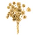 Floristik24 Künstlicher Zweig Amberfrucht Gold 26 cm Bund mit 6 Stück