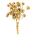 Künstlicher Zweig Amberfrucht Gold 26 cm Bund mit 6 Stück | Floristik24.ch