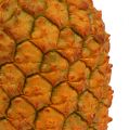 Floristik24 Ananas künstlich 25cm Orange