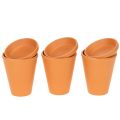 Floristik24 Aquasafe Wasserspeicher mit Insektentränke für Garten und Terrasse 12 cm 3er-Set