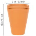 Aquasafe Wasserspeicher mit Insektentränke für Garten und Terrasse 12 cm 3er-Set | Floristik24.ch