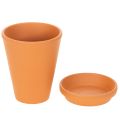 Aquasafe Wasserspeicher mit Insektentränke für Garten und Terrasse 12 cm 3er-Set | Floristik24.ch