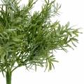 Floristik24 Asparagusbusch Zierspargel-Pick mit 9 Zweigen Kunstpflanze