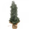 Floristik24 Mini Weihnachtsbaum künstlich im Sack Beschneit H41cm