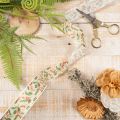 Dekoband mit Stechpalmen und Beeren Polyester 25mm 18m Beige Grün Rot Innenbereich | Floristik24.ch