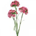 Floristik24 Künstliche Bartnelke Pink Kunstblumen Nelken 55cm Bund à 3St