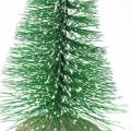 Floristik24 Deko-Tannenbaum Grün beschneit 10cm 6St