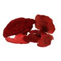 Floristik24 Baumschwamm Rot 1kg