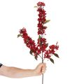 Künstlicher Zweig mit roten Beeren und Blättern 96 cm | Floristik24.ch
