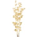 Floristik24 Goldener Beerenzweig künstlich 70cm 3er-Set für saisonale Dekoration