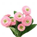 Floristik24 Bellisbund Rosa 24cm 2St