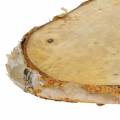 Floristik24 Holzscheiben Birke oval Natur 7,5×13cm 1kg