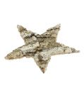 Birkensterne 6cm 100 St | Floristik24.ch