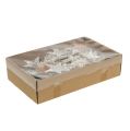 Birkensterne 6cm 100 St