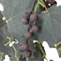 Deko Girlande Weinlaub und Trauben Herbstgirlande 180cm