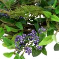 Floristik24 Blätterkranz mit Lavendel 30cm