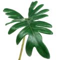 Floristik24 Blatt Philodendron 31cm Grün 12St