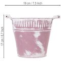 Blecheimer aus Metall, Ø19 cm, H17 cm, Lila Weiss, mit Holzgriffen | Floristik24.ch