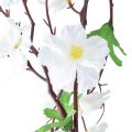 Floristik24 Blütengirlande Blumengirlande künstlich Weiße Blüten 160cm