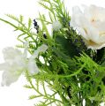 Floristik24 Blütenstrauß mit Bellis Weiß 20cm